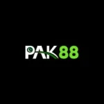 PAK 88 Game